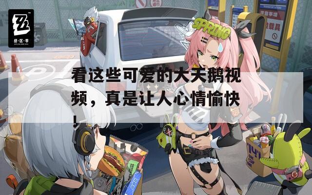 看这些可爱的大天鹅视频，真是让人心情愉快！