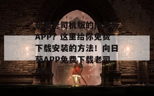 想要老司机版的向日葵APP？这里给你免费下载安装的方法！向日葵APP免费下载老司机版