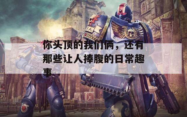 你头顶的我们俩，还有那些让人捧腹的日常趣事