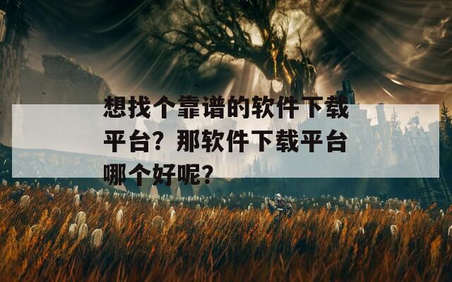 想找个靠谱的软件下载平台？那软件下载平台哪个好呢？