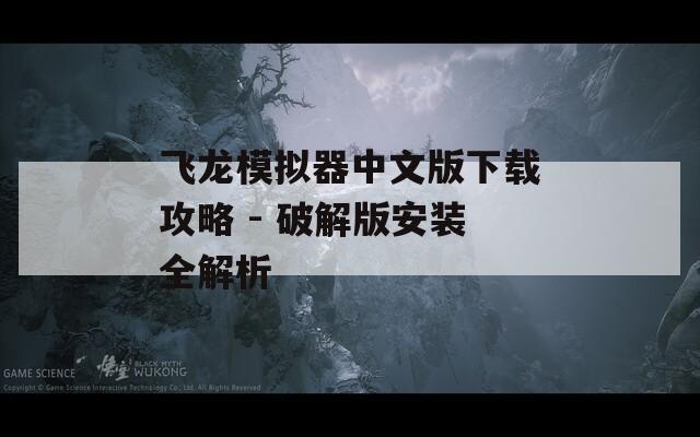 飞龙模拟器中文版下载攻略 - 破解版安装全解析