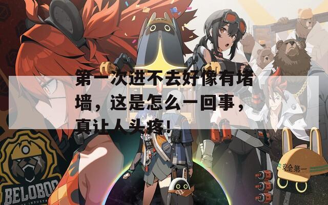 第一次进不去好像有堵墙，这是怎么一回事，真让人头疼！