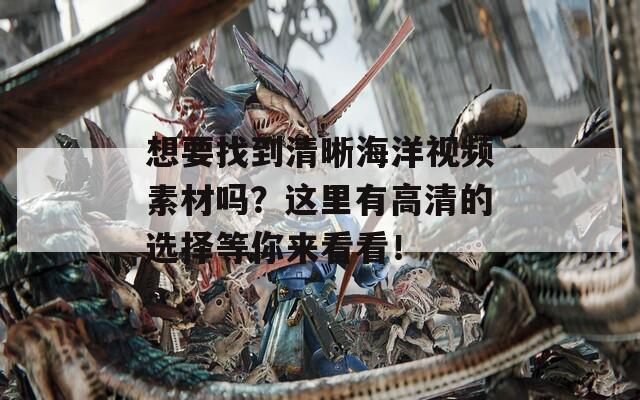 想要找到清晰海洋视频素材吗？这里有高清的选择等你来看看！