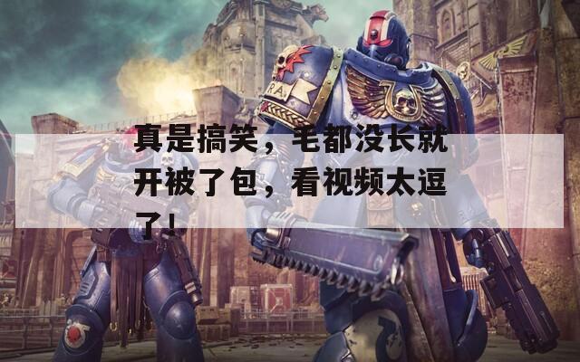 真是搞笑，毛都没长就开被了包，看视频太逗了！
