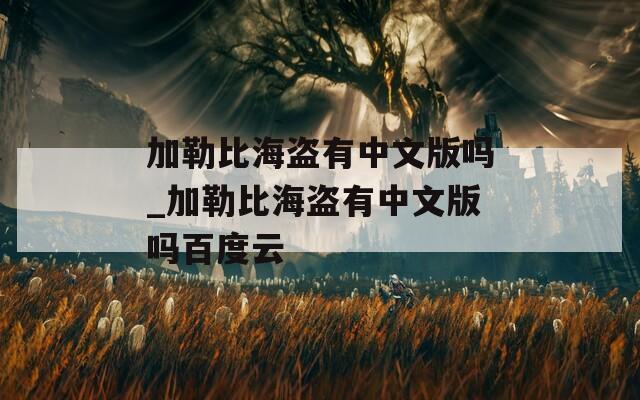 加勒比海盗有中文版吗_加勒比海盗有中文版吗百度云
