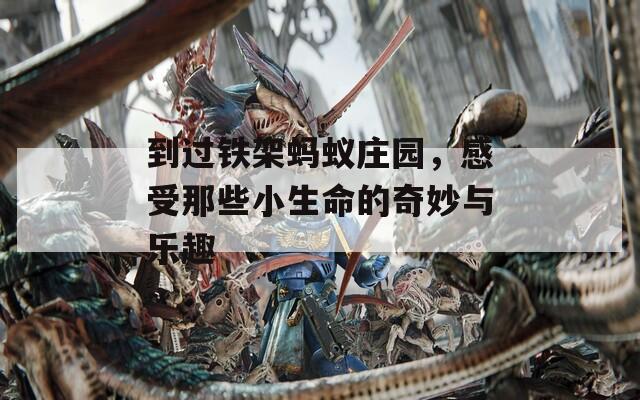 到过铁架蚂蚁庄园，感受那些小生命的奇妙与乐趣