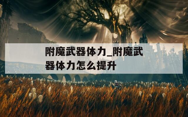 附魔武器体力_附魔武器体力怎么提升