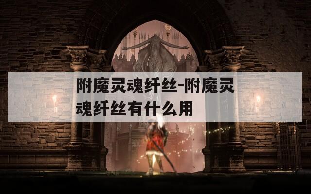附魔灵魂纤丝-附魔灵魂纤丝有什么用