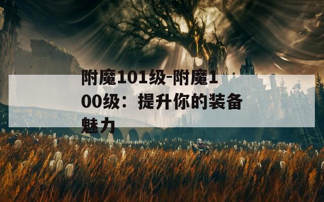 附魔101级-附魔100级：提升你的装备魅力