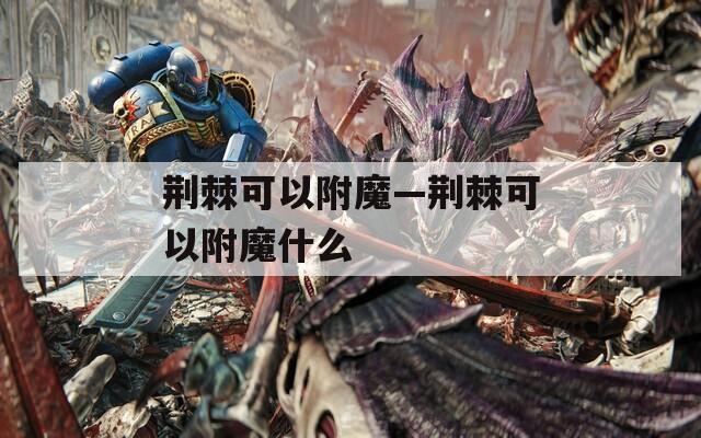 荆棘可以附魔—荆棘可以附魔什么