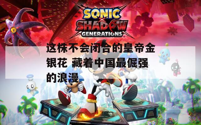 这株不会闭合的皇帝金银花 藏着中国最倔强的浪漫