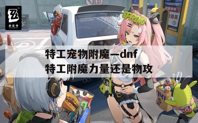特工宠物附魔—dnf特工附魔力量还是物攻