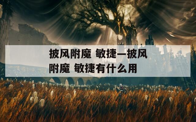 披风附魔 敏捷—披风附魔 敏捷有什么用