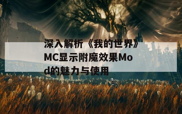 深入解析《我的世界》MC显示附魔效果Mod的魅力与使用