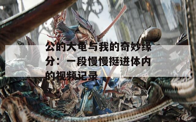 公的大龟与我的奇妙缘分：一段慢慢挺进体内的视频记录
