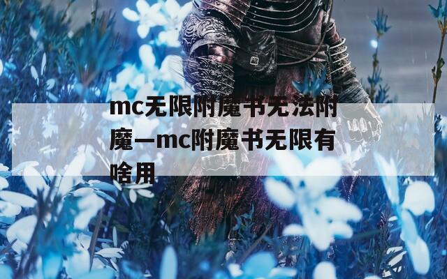 mc无限附魔书无法附魔—mc附魔书无限有啥用