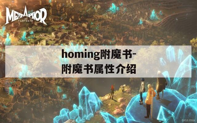 homing附魔书-附魔书属性介绍