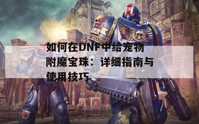 如何在DNF中给宠物附魔宝珠：详细指南与使用技巧