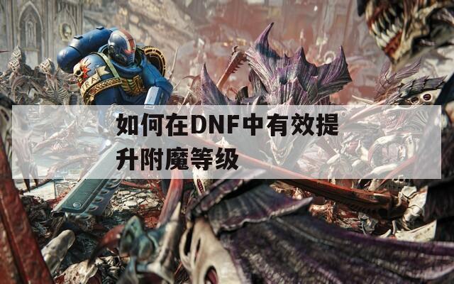 如何在DNF中有效提升附魔等级