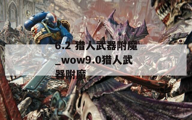 6.2 猎人武器附魔_wow9.0猎人武器附魔