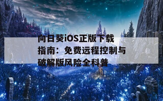 向日葵iOS正版下载指南：免费远程控制与破解版风险全科普