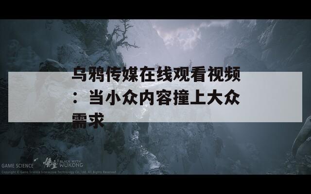 乌鸦传媒在线观看视频：当小众内容撞上大众需求